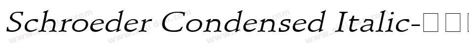 Schroeder Condensed Italic字体转换